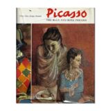 Sleeve cover Picasso The blue and rose periods