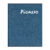 Cover Picasso The blue and rose periods