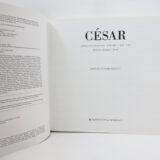 César. Page view