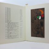 Miro. Recent paintings. Page view