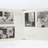 Matisse 64 paintings. Page view